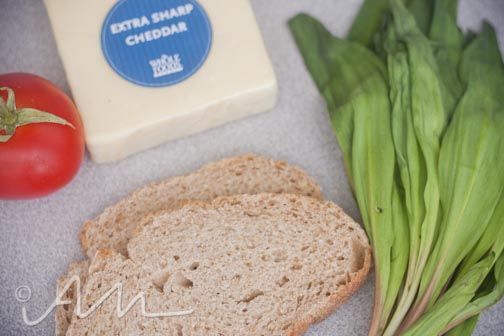 grilledrampcheesesammy-3