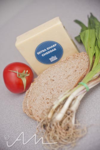 grilledrampcheesesammy-4