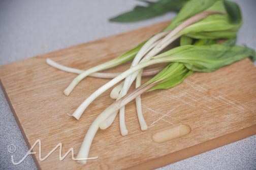 grilledrampcheesesammy-5