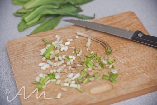 grilledrampcheesesammy-6