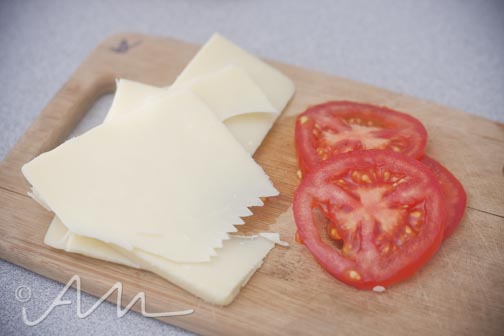 grilledrampcheesesammy-9