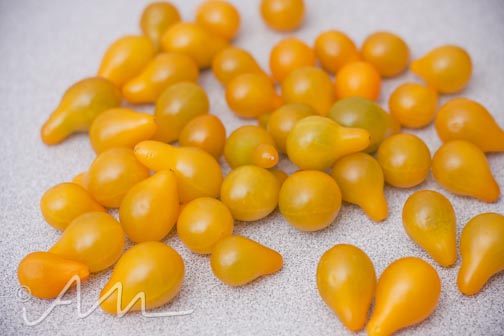 peartomatoesquinoapasta-16