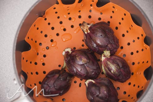 purpleartichokes-7