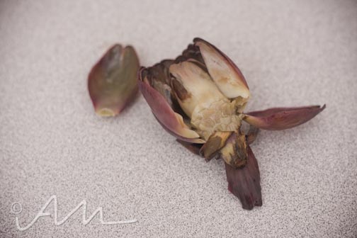 purpleartichokes-9