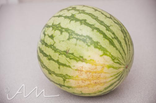 watermelon-17