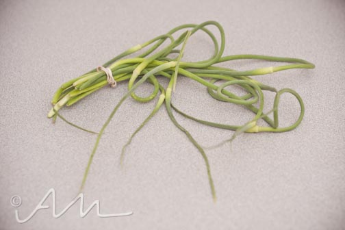 garlicscapebokchoy-1