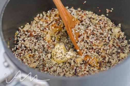 rainbowquinoavolcanogarlic-3