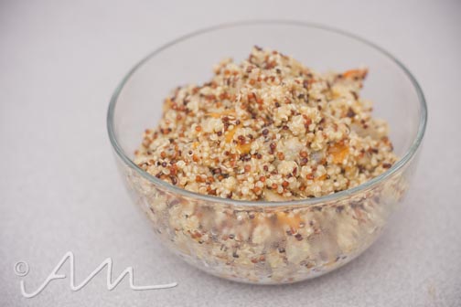 rainbowquinoavolcanogarlic-4