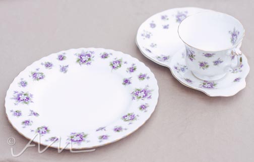 firstadultteapartyever-3