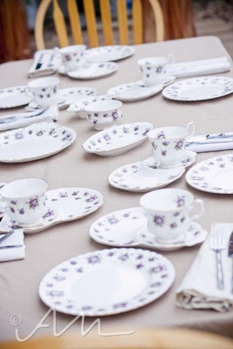 firstadultteapartyever-5