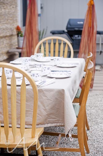 firstadultteapartyever-6