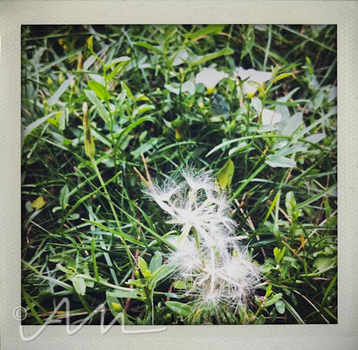 neighbourhoodfotos-11