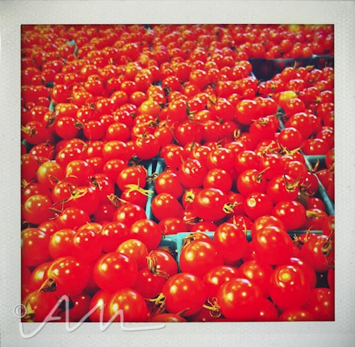 neighbourhoodfotos-2