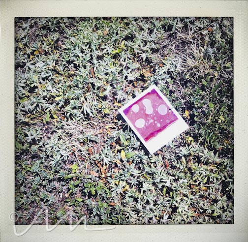 neighbourhoodfotos-4