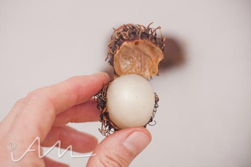 rambutan-10