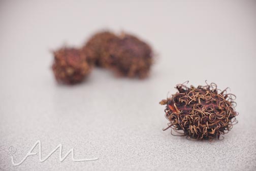 rambutan-8