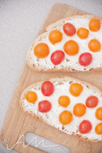 tomatogoatcheesetoast-8