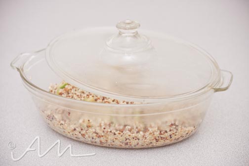 zuchmaterquinoa-11