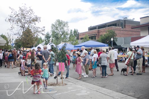 aspenmacncheesefestival-1