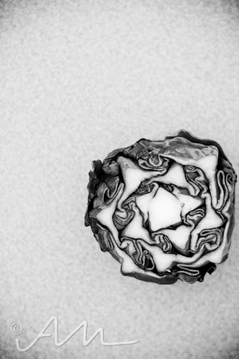 artsy-fartsy cute little fibonacci cabbage