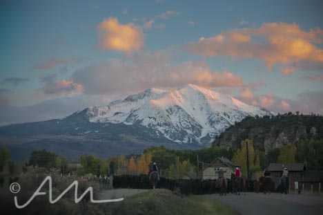 cattleroundup-14