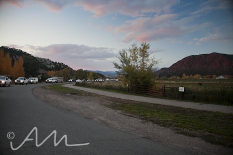 cattleroundup-15