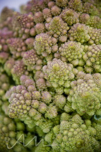 radicalromanesco-11