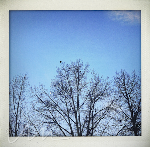 fotofridaydecebmer2013-5