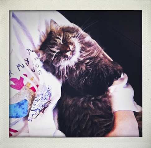 weekinfotosfeb212014-1