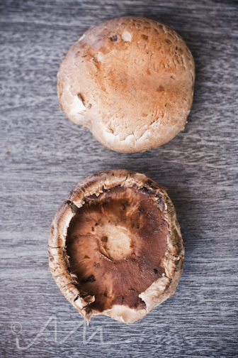 colourfulmushrooms-2