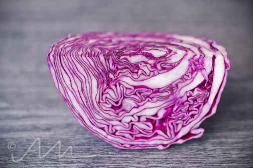 colourfulmushrooms-4