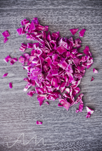 colourfulmushrooms-6