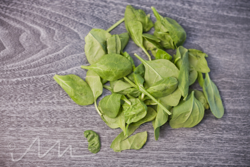 rainbowrainbowquinoa-5