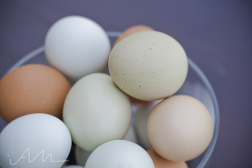 speckledeggs-4