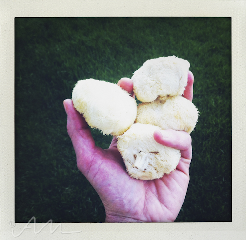 thingsthatmakeyougommm-14