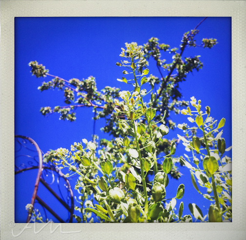 thingsthatmakeyougommm-9