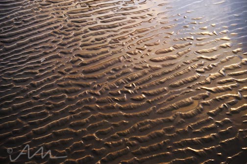 ripples-1