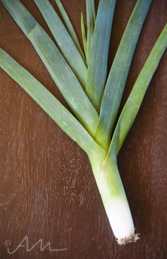 fortheloveofleeks-1