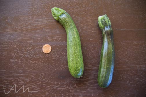 smallestveggiesever-1