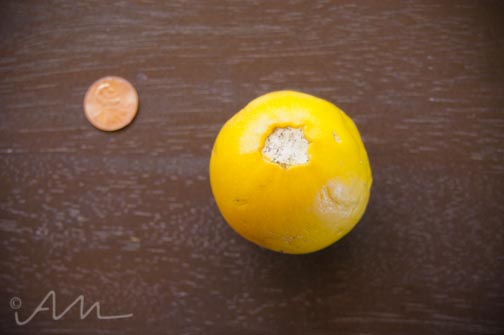 smallestveggiesever-2