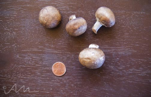 smallestveggiesever-6