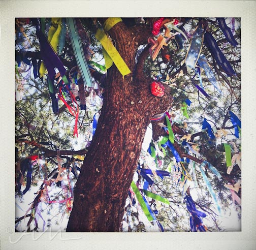 weekinfotos091914-12