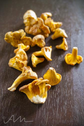 chanterellemushrooms-1