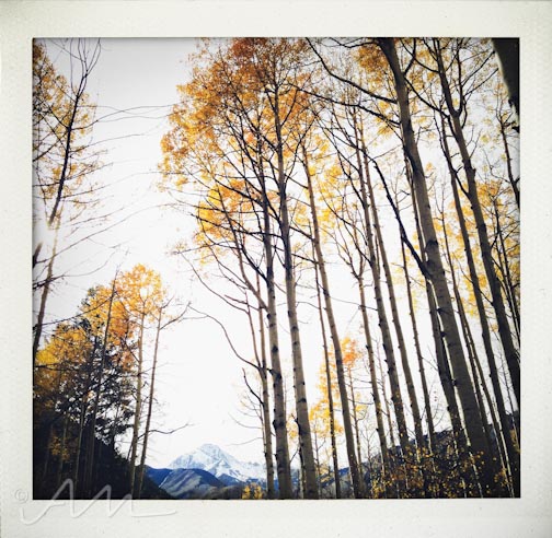 eyesoftheaspens-19