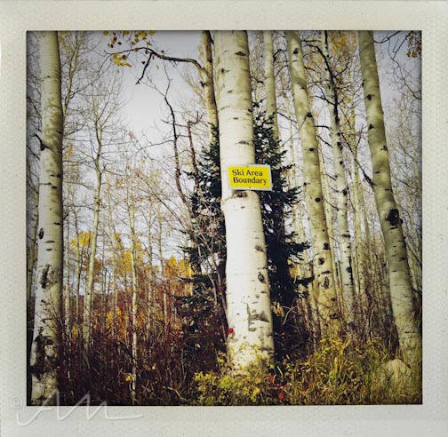 eyesoftheaspens-22