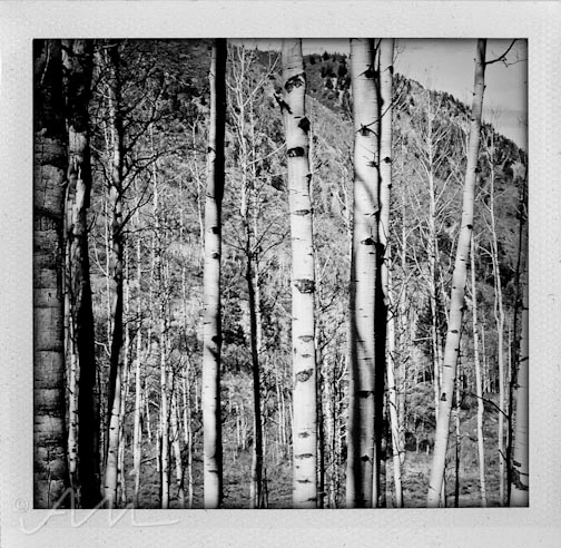 eyesoftheaspens-4
