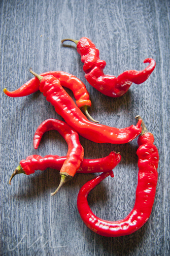 redsweetpepper-4