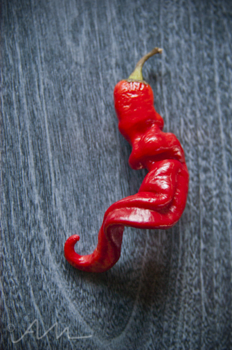 redsweetpepper-7