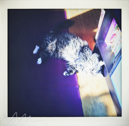 weekinfotos120114-13