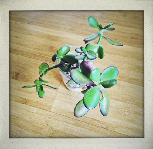 weekinfotos120114-18